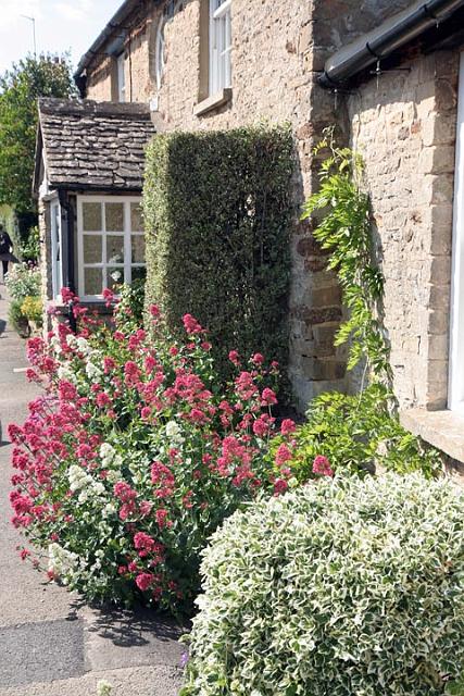 2. Acacia Cottage.JPG